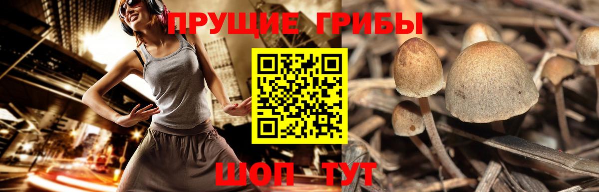 Галлюциногенные грибы мицелий Сердобск