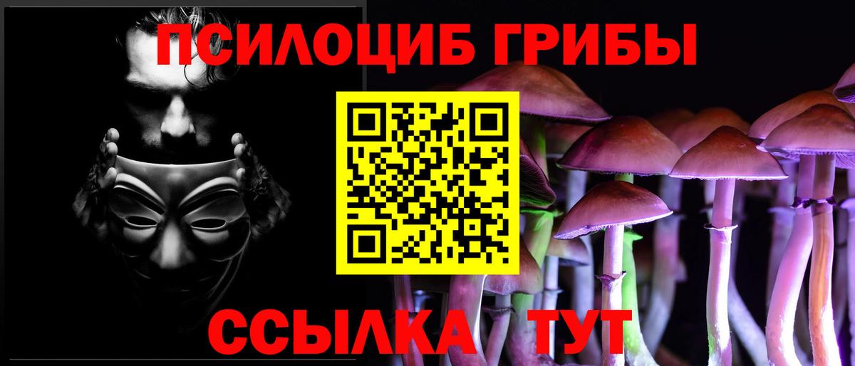 Псилоцибиновые грибы мухоморы  Вход с VPN  Сердобск 