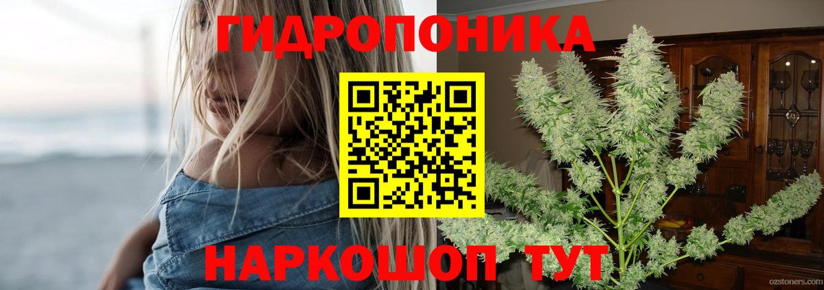 Сердобск  Бошки марихуана ГИДРОПОН  Вход с VPN  МАРИХУАНА THC 21% 